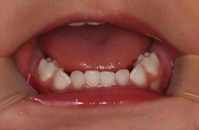 IMG_3731_R84.JPG