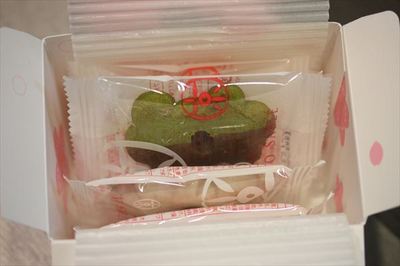 hiroshimashikaIMG_2555_R84.JPG