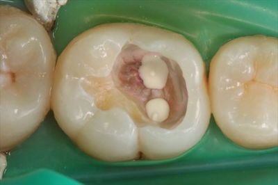 IMG_3392_R84.JPG