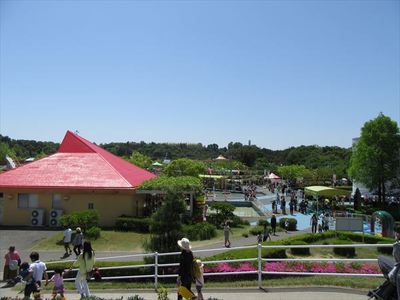 IMG_4702_R84.JPG