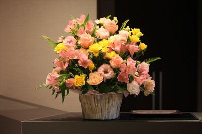 IMG_5581_R85.JPG