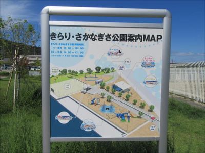IMG_5528_R89.JPG