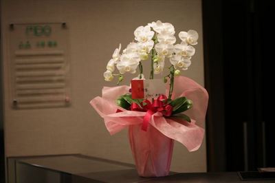 IMG_9473_R21.JPG