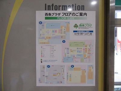 IMG_8591_R22.JPG