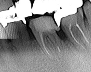CT_20161109002001.jpg