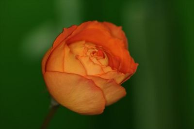 IMG_85232_R22.JPG