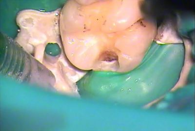無題_0043.wmv_001033301_R23.jpg