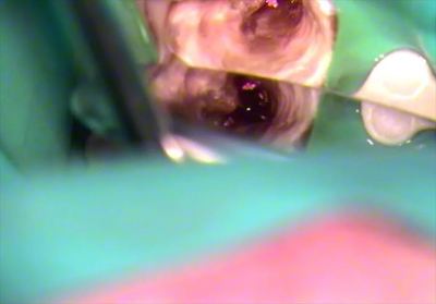 無題_0151.wmv_005947162_R23.jpg