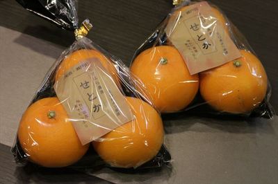 IMG_8292_R24.JPG
