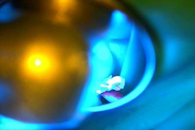 無題_0158.wmv_004890878_R25.jpg
