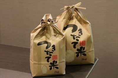 IMG_4040_R25.JPG