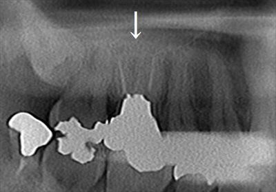 CT_20191003000009_R26.jpg