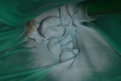 IMG_4229_R27.JPG